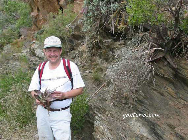 Breck with Gasteria carinata at a locality near Caledon, Western Cape